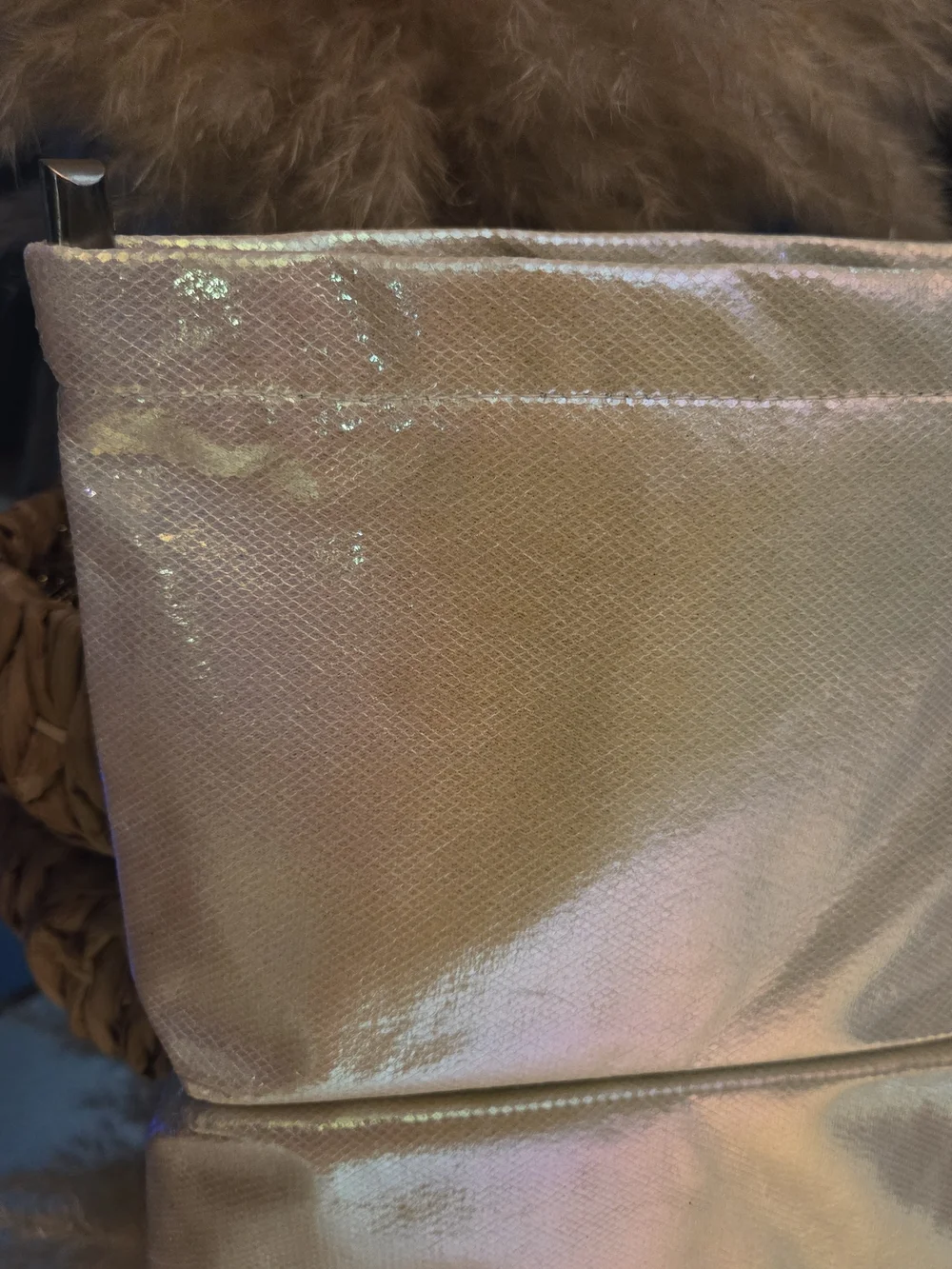 Equilibria Metallic Champagne Gold Iridescent Textured Zip Clutch Pouch